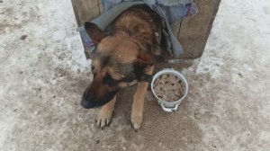 Херсонщина 26 января 2026 года