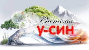 Урок 2. Система У-син