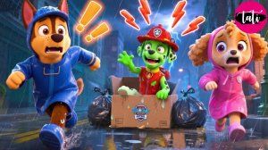 Щенячий патруль и Маршалл. Залипательное видео. Мультфильм для детей и малышей. Анимация 135