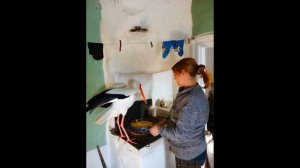 ЗАХОТЕЛ КАРТОШКИ