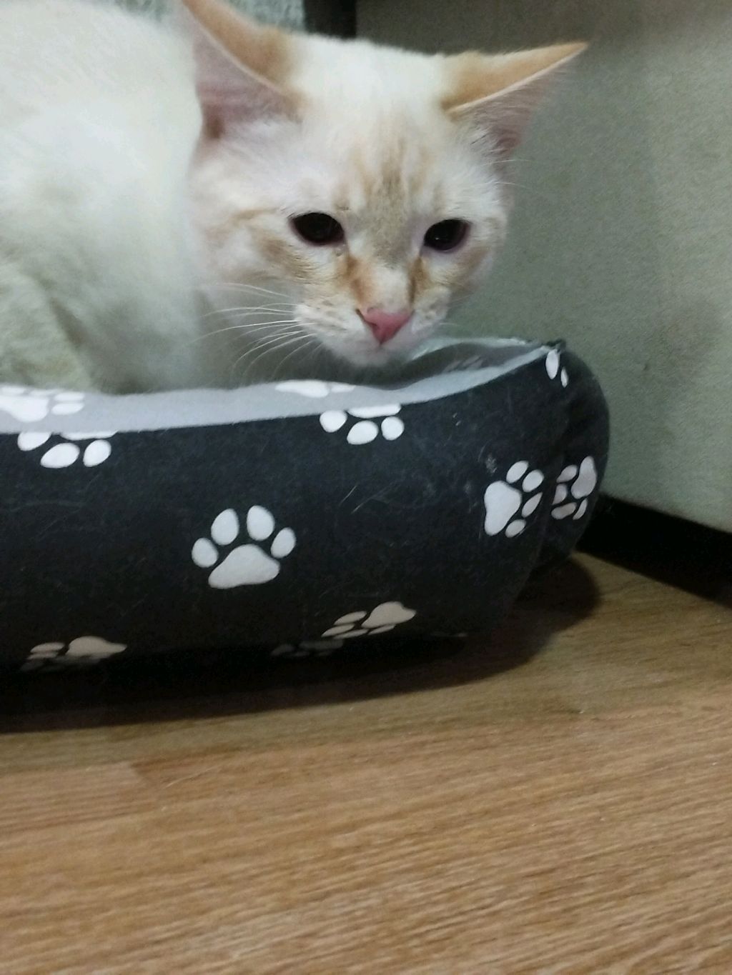 ребят Я играю в игру онлайн присоединяйтесь ПЖ смотреть онлайн