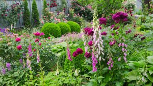 Клип на мою песню ВОЛШЕБНЫЙ САД, слова мои, музыка создана искусственным интеллектом. Танцуют все!