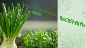 Самый точный лунный календарь на посадку рассады помидор в 2026 году. Январь, февраль,