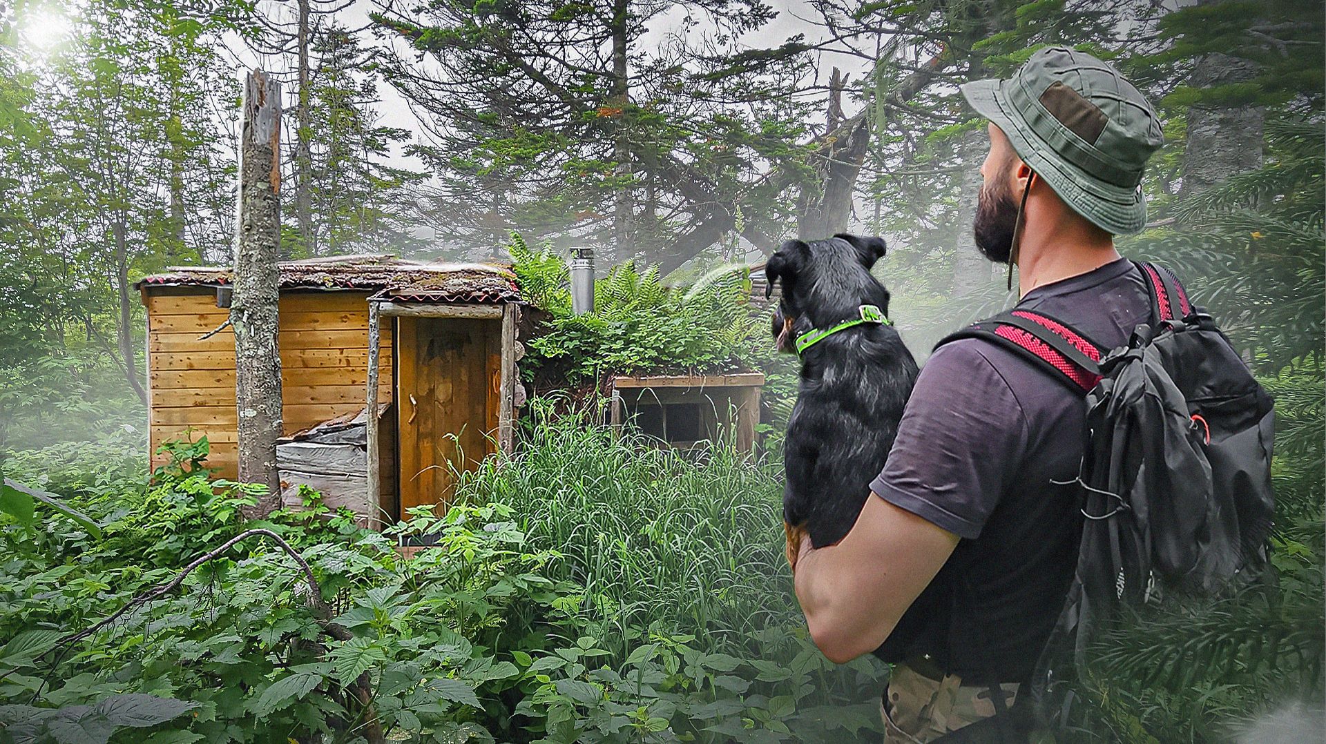 ЗЕМЛЯНКА - ВСЕ ? | ЧТО с ДОМОМ ПОД ЗЕМЛЕЙ в ГЛУХОМ ЛЕСУ | МОЛЛЮСКИ НА КОСТРЕ смотреть онлайн
