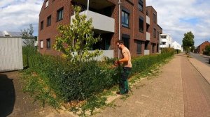 Заросший двор с ПУСТУЮЩИМИ КВАРТИРАМИ нуждается в уходе