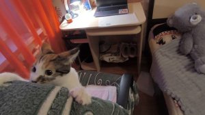 Любашины будни,Алиса радует ☀️!Пришла Леночка ‼️