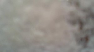 прощлраьрроп