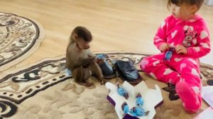 Люсю с Ангелиной просто ЗАСЫПАЛИ ПОДАРОЧКАМИ! Люсю приходится просто держать, а то заберет все себе!