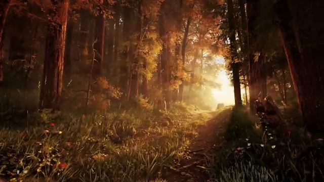 Поездка в карете по лесу - Том 2. Летние приключения, музыка и атмосфера смотреть онлайн