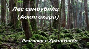 Лес самоубийц (Аокигахара) разговор с Хранителем