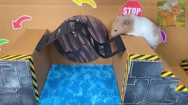 Хомячки пробираются в детский сад Банбан ночью, опасность подстерегает повсюду! смотреть онлайн