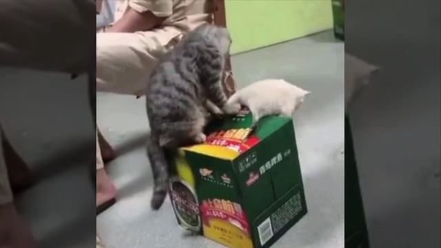 Помог чем смог😂 смотреть онлайн