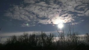 Не можешь без бутылки - обходись без машины