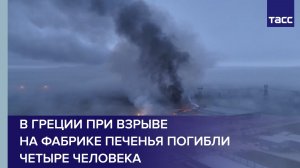 В Греции при взрыве на фабрике печенья погибли четыре человека