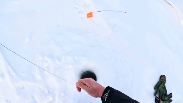 МЕШОК РЫБЫ ЗА ПОЛ ДНЯ смотреть онлайн