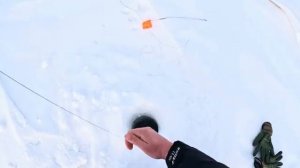 МЕШОК РЫБЫ ЗА ПОЛ ДНЯ