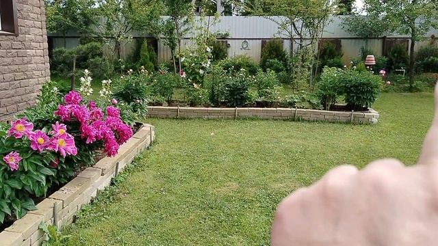 Планы по переделке пионовой рабатки смотреть онлайн