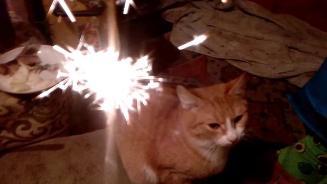 Новый 2026 год с кошками на даче смотреть онлайн