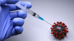 В Индии выявили смертельный вирус Нипах. Что известно