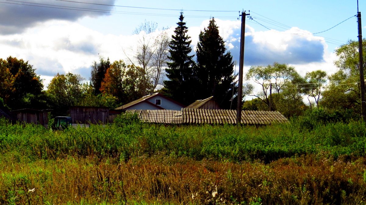 Травы, травы, травы... смотреть онлайн