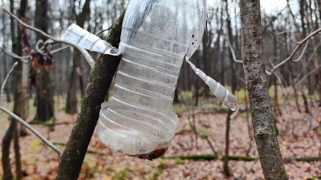 Обзор кормушек для птиц. Рекомендации смотреть онлайн