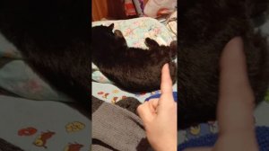 knitted socks Shchelkovo вязаные бабушкины носки от Анны Николаевны. Вацап, телеграм мах 89153341491