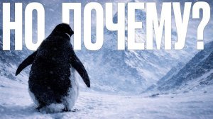 ℹ️ Пингвин, идущий на смерть. Почему это видео невозможно забыть? Скрытый смысл мема 🎬 1080p