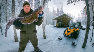 Лесной отпуск.Проверка избы.Ставим жерлицы.Росомаха на избе.