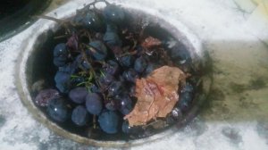 Ути́ль винограда