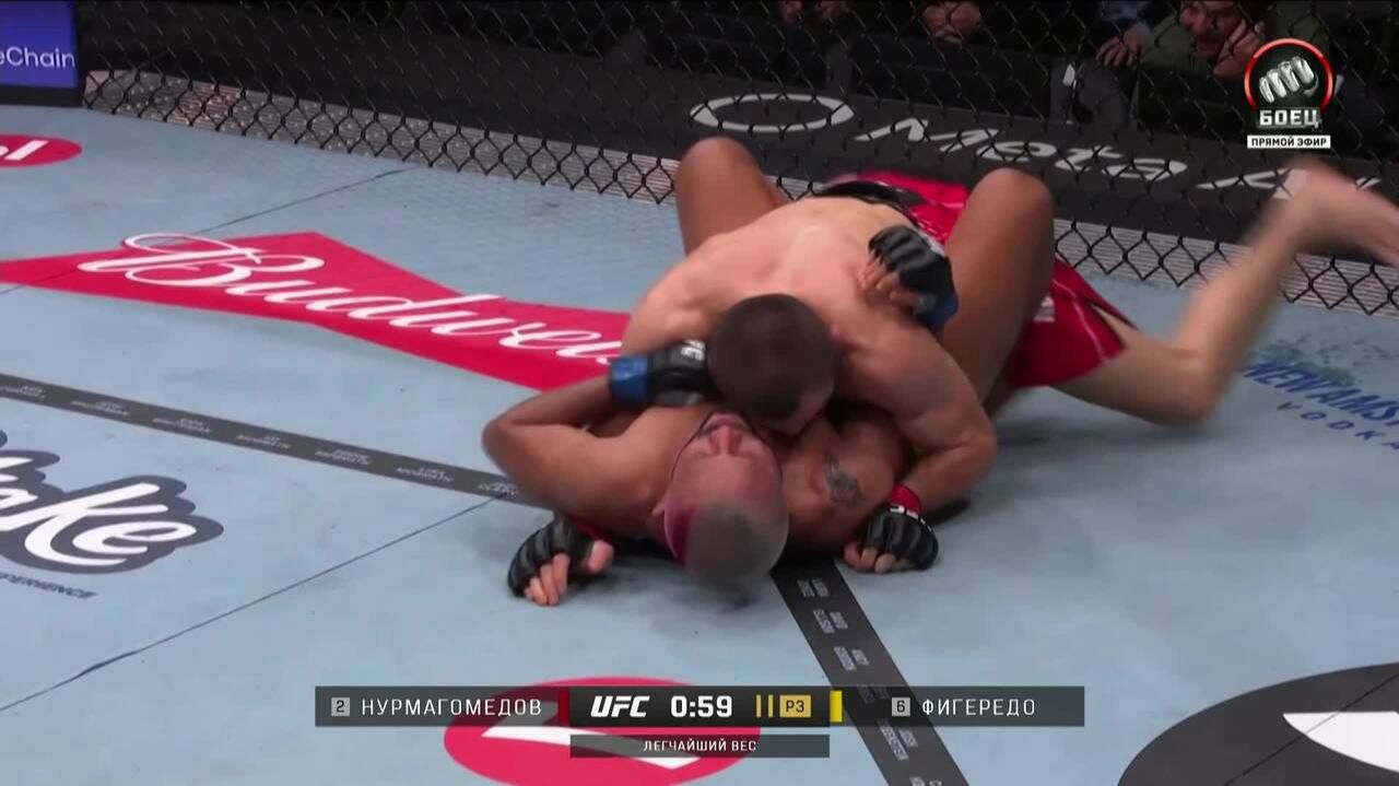 Умар Нурмагомедов против Дейвесона Фигередо (видео). UFC 324 смотреть онлайн