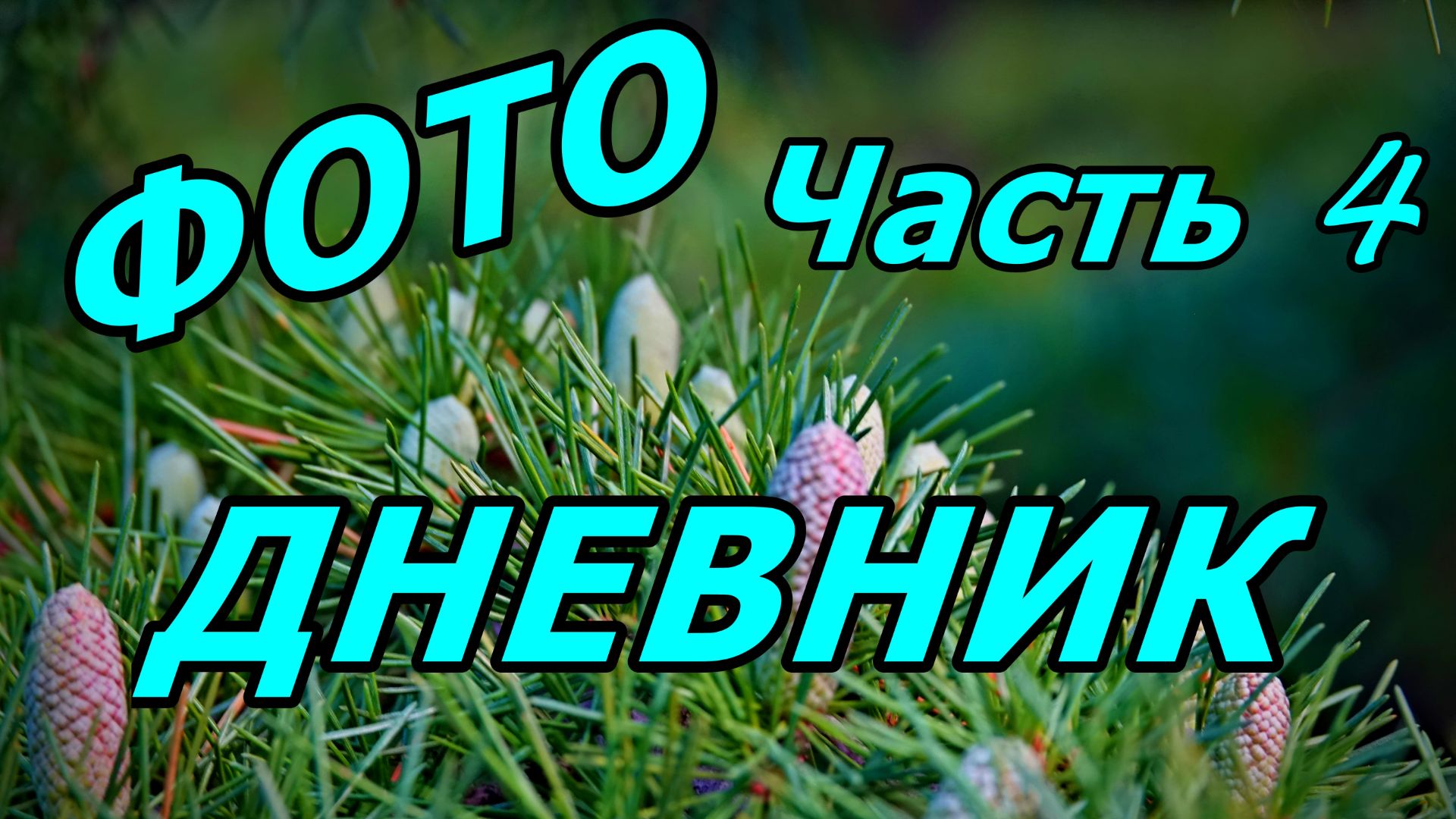 ГОЛУБИ, ПАЛЬМЫ, СУВЕНИРЫ, СУМЕРКИ. ФОТОДНЕВНИК ЧАСТЬ 4. АДЛЕР. НОЯБРЬ 2025. смотреть онлайн