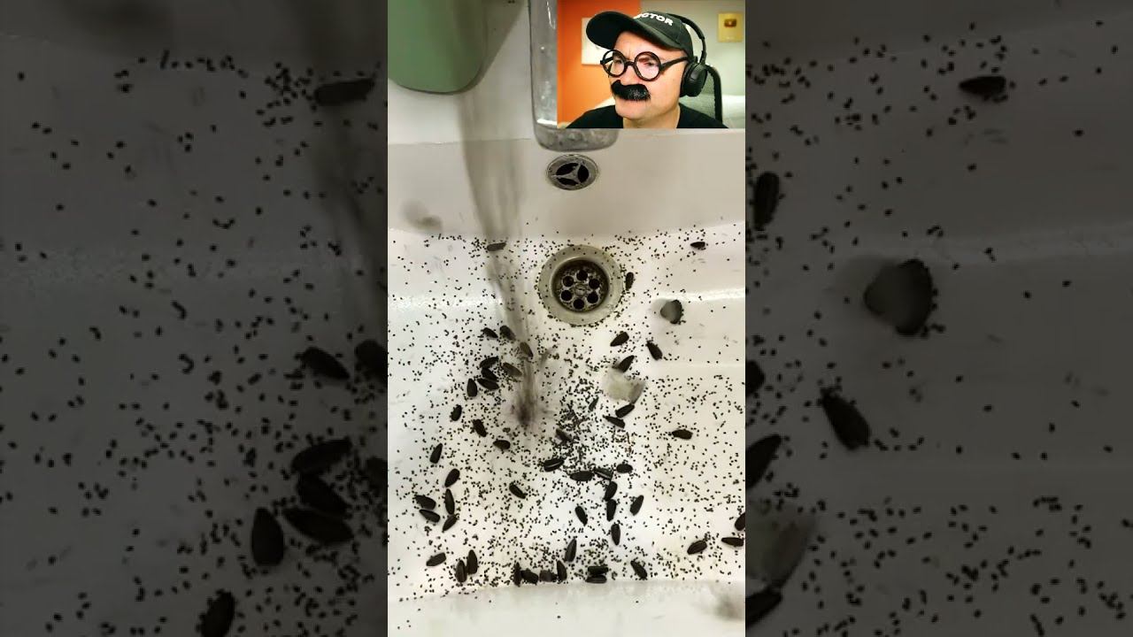 Первое использование ирригатора смотреть онлайн