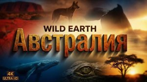 Австралия 4K | Документальный фильм о дикой природе