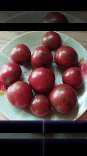 Томат Фиолетовая яшма т. 89229284031 смотреть онлайн