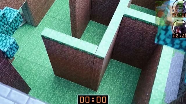 Соревнования по скоростному прохождению лабиринта между маленькими хомячками! Кто самый быстрый смотреть онлайн