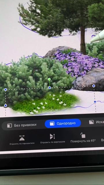 Северный сад: формирование устойчивой среды смотреть онлайн