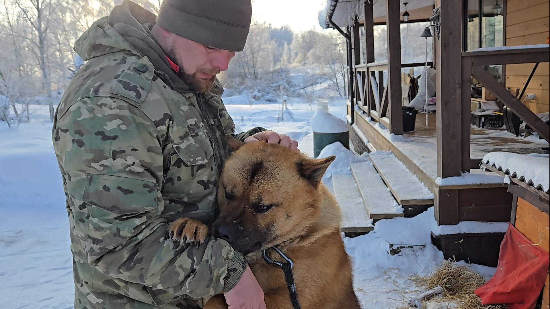 Январские холода, неунывающие собаки и интересный вечер у печки смотреть онлайн