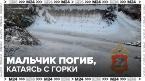 Прокуратура разберется в ситуации с гибелью попавшего под машину ребенка - Москва 24