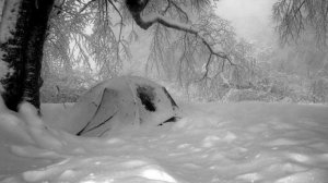 Скоро лето... (Олег Митяев)