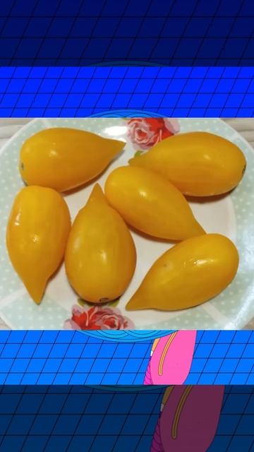 Томат Цыпочка т. 89229284031 смотреть онлайн