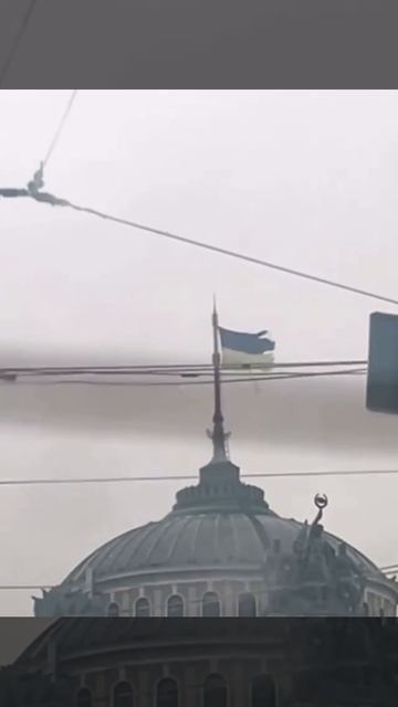 ���� ������