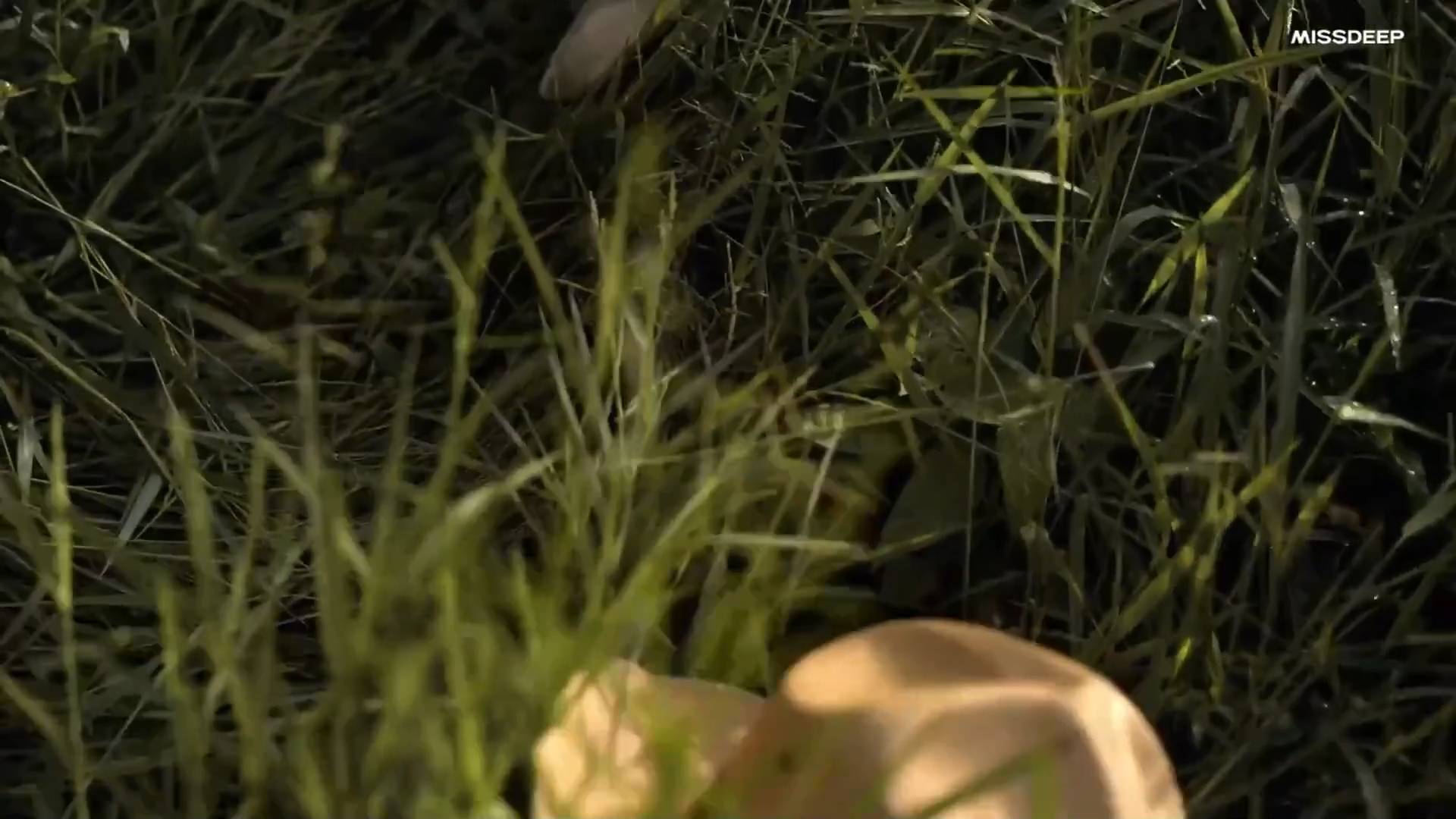 Deep House & Chill Out Mix Music 2025 смотреть онлайн