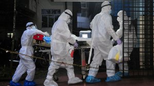 Смертельный вирус Нипах атакует Индию: что известно об инфекции