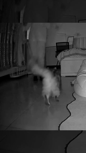 Ну давай попрыгаем вместе... смотреть онлайн