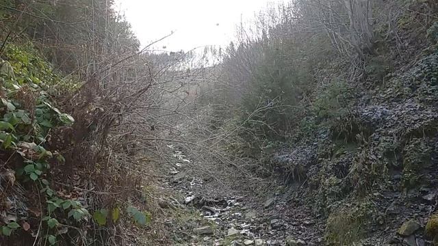 Побег из Украины： Как мы шли 12 ДНЕЙ через горы, чтобы НЕ смотреть онлайн