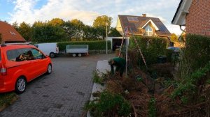 Она НЕ ХОТЕЛА, но всё же ПОПРОСИЛА меня УБРАТЬ 20-летнюю изгородь