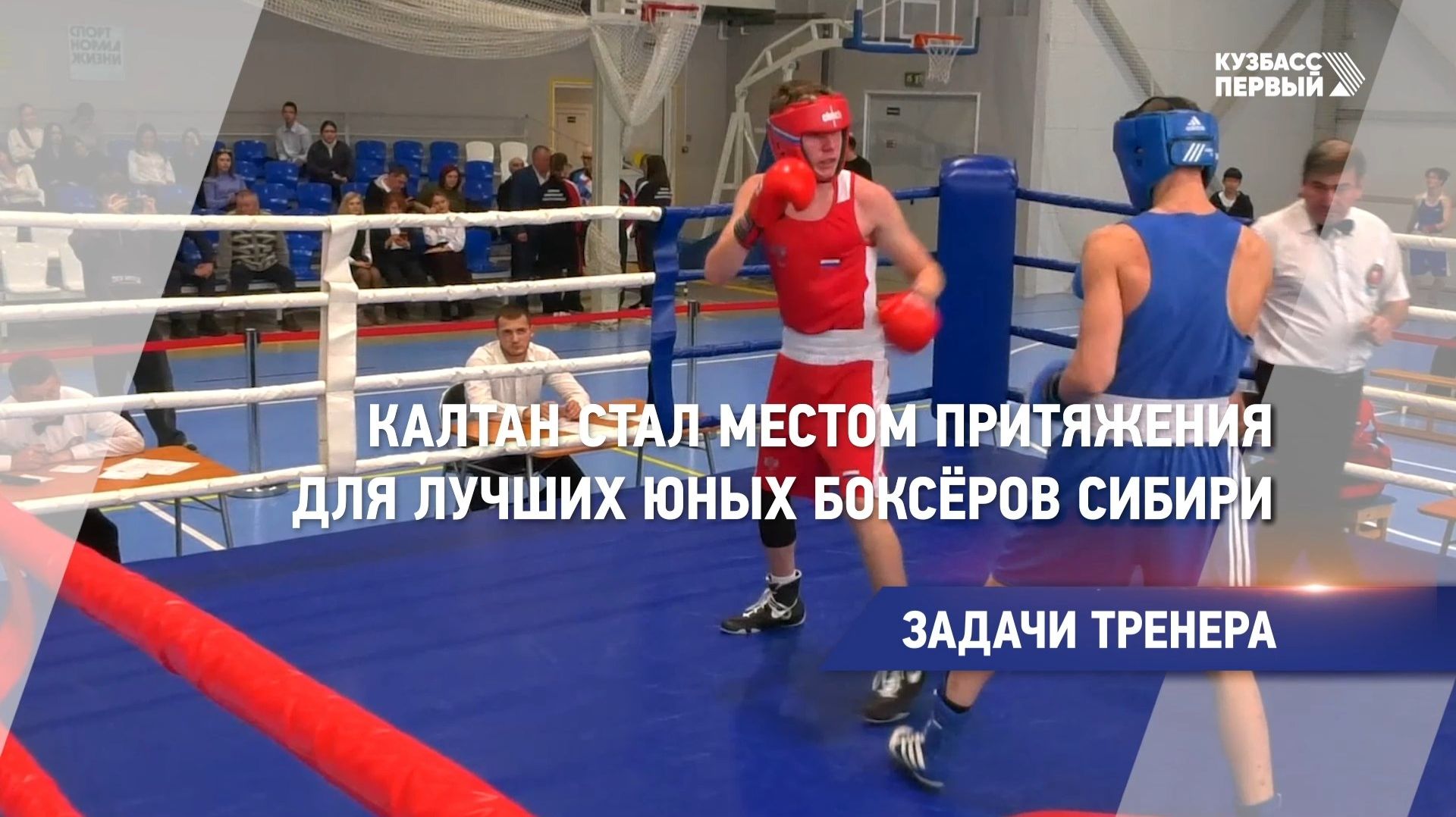 Задачи тренера смотреть онлайн