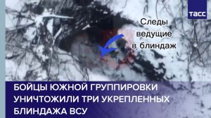 Бойцы Южной группировки уничтожили три укрепленных блиндажа ВСУ