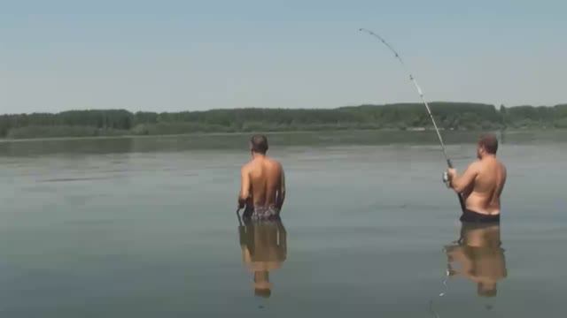 ОГРОМНЫЙ АМУР смотреть онлайн