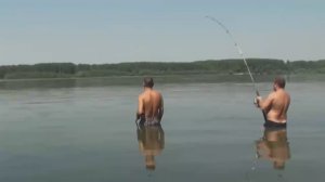 ОГРОМНЫЙ АМУР